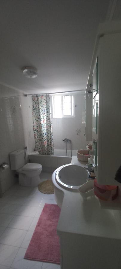 Εξοχικό Roxani Villa Ambelakia Екстериор снимка