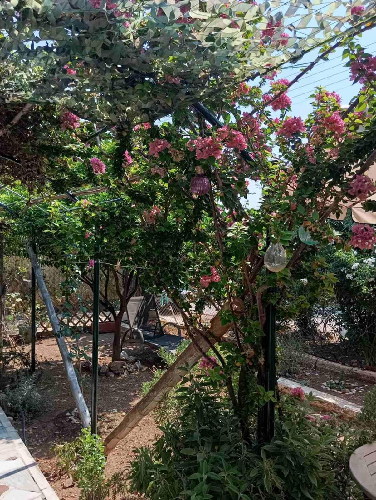 Εξοχικό Roxani Villa Ambelakia Екстериор снимка