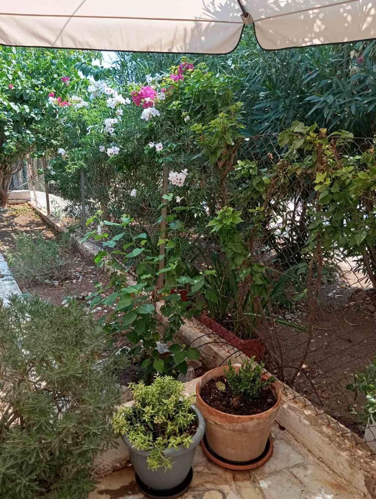 Εξοχικό Roxani Villa Ambelakia Екстериор снимка